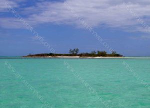 Bird Cay Andros Island Bahamas 2005